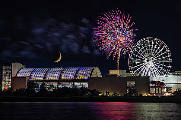 4th Of July Fireworks Print