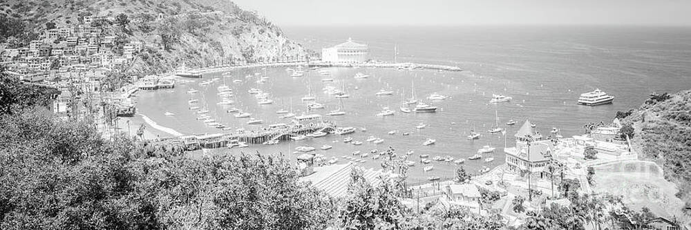 Wall Art featuring the photograph Catalina Island Avalon Bay Black And White Picture  #5 by Paul Velgos