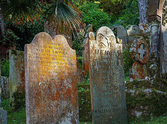 Beautiful Photograph - St Just In Roseland Parish Church In Cornwall UK #5 by Steven Heap