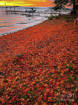 Fall Photograph - The Fallen #5 by William Norton