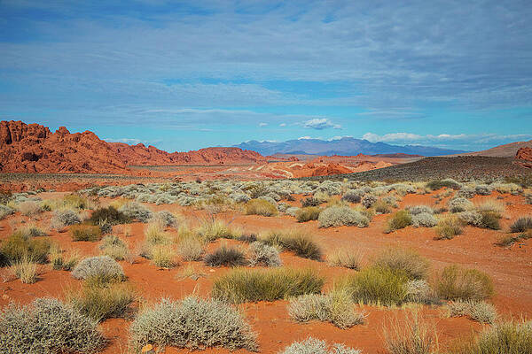 Photograph - Valley Of Fire - Mountain Vista by Jonathan Babon