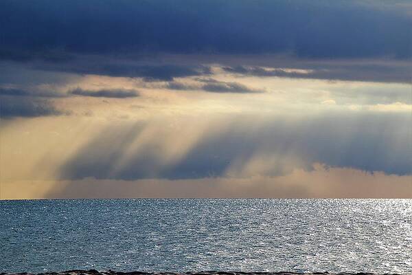 Wall Art featuring the photograph 5879 by Donn Ingemie