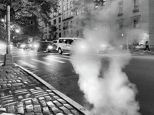 Wall Art featuring the photograph 5th Avenue by Steven Nelson