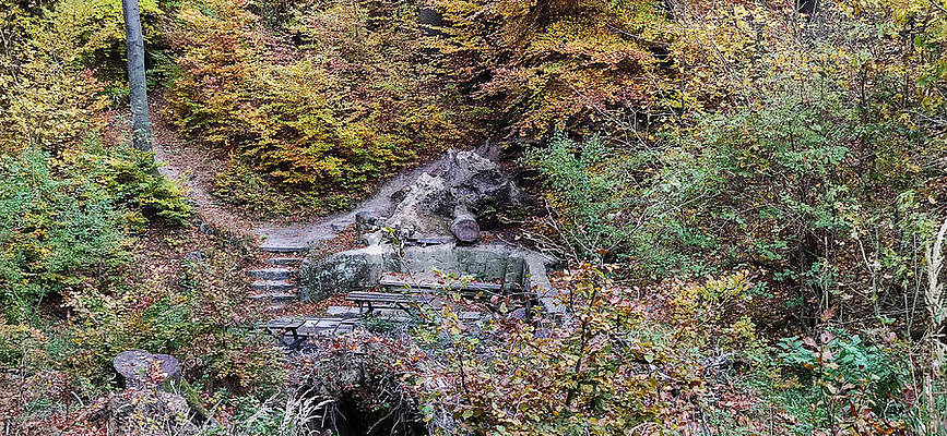 Tree Photograph - Autumn In The Forest #7 by Robert Grac