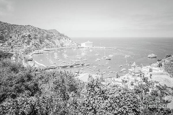 Wall Art featuring the photograph Catalina Island Avalon Bay Black And White Picture  #6 by Paul Velgos