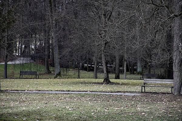 Nature Photograph - Countryside #6 by Robert Grac