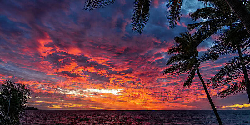 Sunset Wall Art featuring the photograph Sunsets Mazatlan Mexico #6 by Tommy Farnsworth