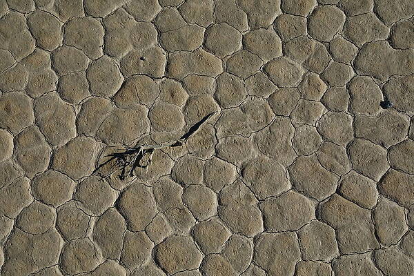 Photograph - The Racetrack Playa #6 by Jonathan Babon