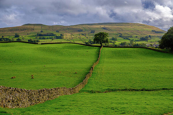 Rolling Hills and Stone Wall Photograph