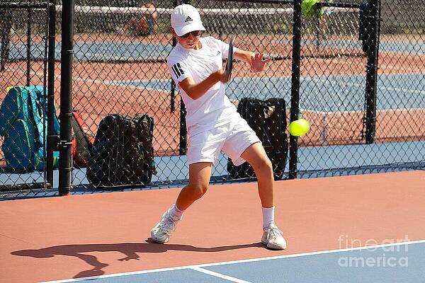 Wall Art featuring the photograph 6571 by Donn Ingemie