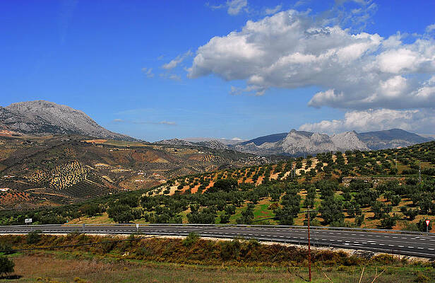 Summer Wall Art featuring the photograph South Spain #7 by Severija Kirilovaite