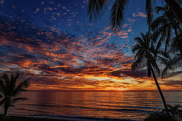 Sunset Wall Art featuring the photograph Sunsets Mazatlan Sinaloa Mexico #7 by Tommy Farnsworth