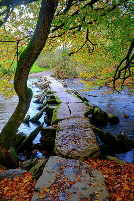 Autumn Stones Across a River Photograph
