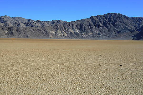 Photograph - The Racetrack Playa #7 by Jonathan Babon