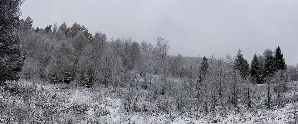 Nature Photograph - Winter Wonderland #7 by Robert Grac