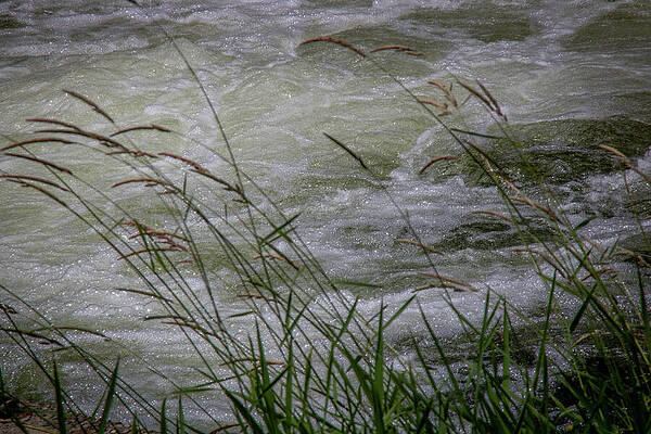 Natural Wall Art featuring the photograph The Flow Of Life by Linda Triplett