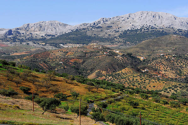 Summer Wall Art featuring the photograph South Spain #9 by Severija Kirilovaite