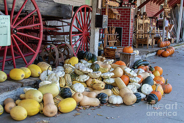 Nature Wall Art featuring the photograph 9439_Fall Americana by Mark Triplett