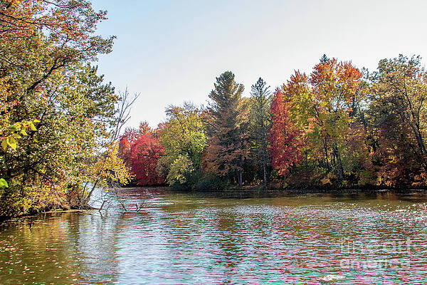 Nature Wall Art featuring the photograph 9448_Fall Colors Dells Mill by Mark Triplett