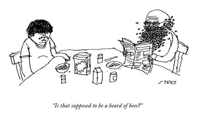 Bee Wall Art featuring the drawing A Beard Of Bees by Edward Steed