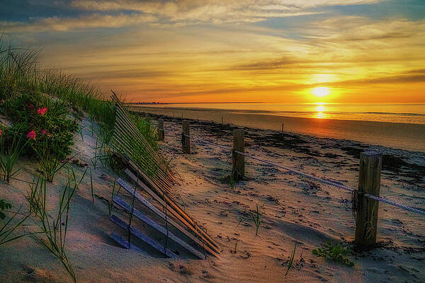 Maine Wall Art featuring the photograph A New Beginning by Penny Polakoff