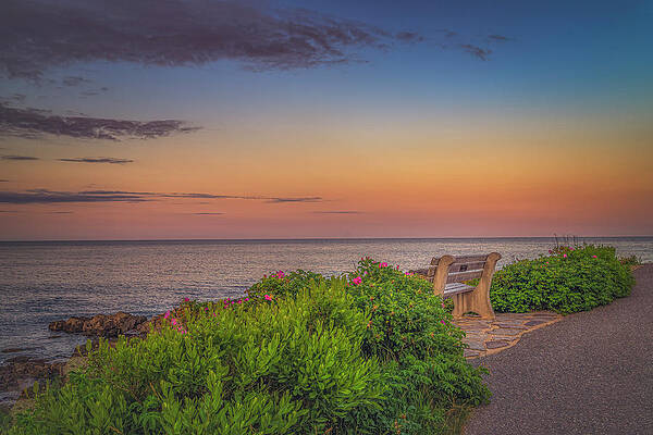 Maine Wall Art featuring the photograph A Bench With A View by Penny Polakoff