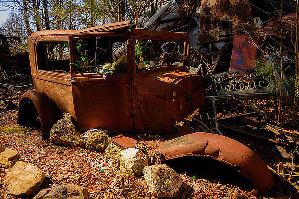 Rustic Abandoned Car in Overgrown Yard Photograph