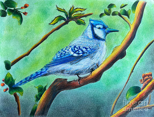 Blue Drawing - A Blue Bird On A Branch by Michel Cruz-Garcia