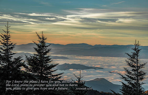 Tennessee Photograph - A Brighter Day by Marcy Wielfaert
