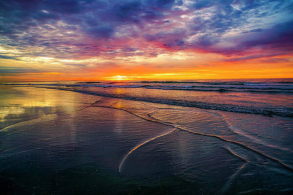 Maine Wall Art featuring the photograph A Burst Of Color by Penny Polakoff