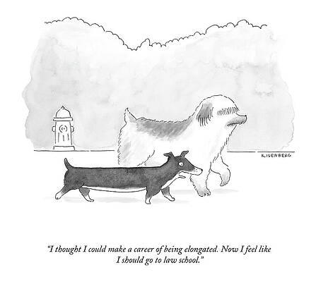 The Long Dachshund's Career Thoughts Drawing