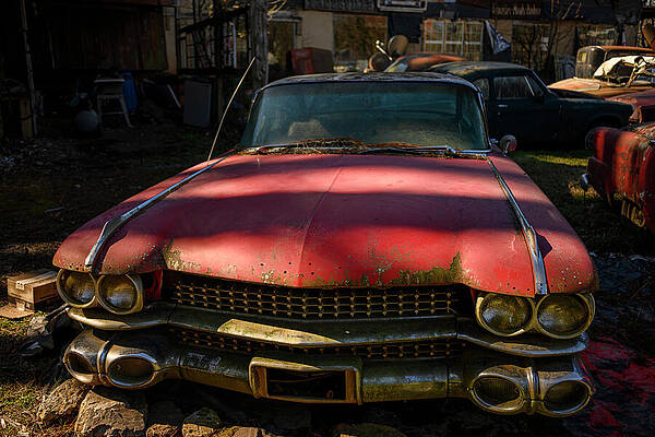 Vintage Red Cadillac in Junkyard Photograph