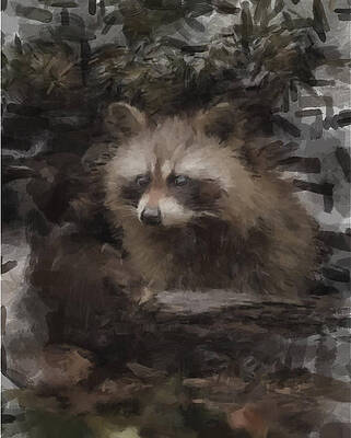 Painting - A Cleaver Racoon by Gary Arnold