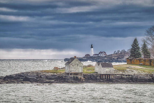 Photograph - A Cold Afternoon At Willard Beach by Penny Polakoff