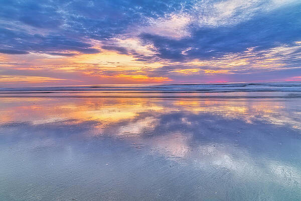 Wall Art featuring the photograph A Colorful Symphony by Penny Polakoff