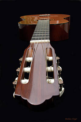 Music Wall Art featuring the photograph A Different Perspective by Barbara Siegel