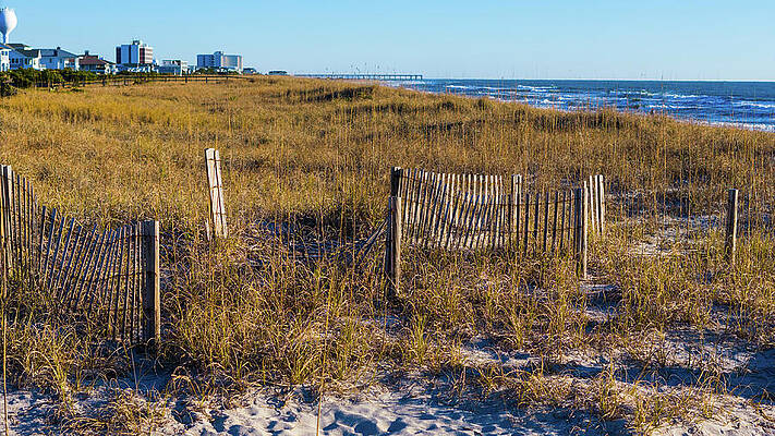 Beach Wall Art featuring the photograph A Dunes View by Oceanic SkyView