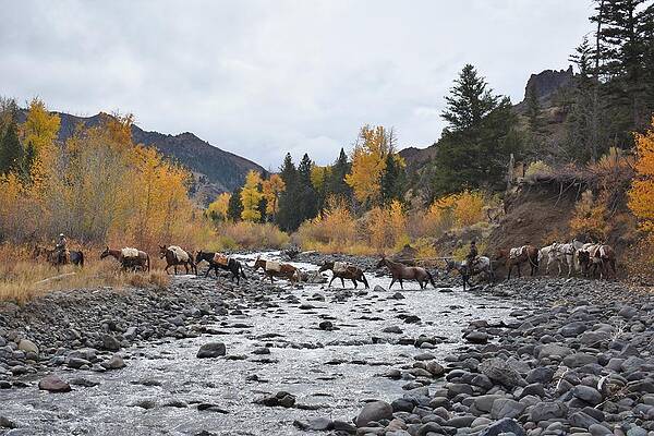 A Fine Autumn Day by Alden Ballard