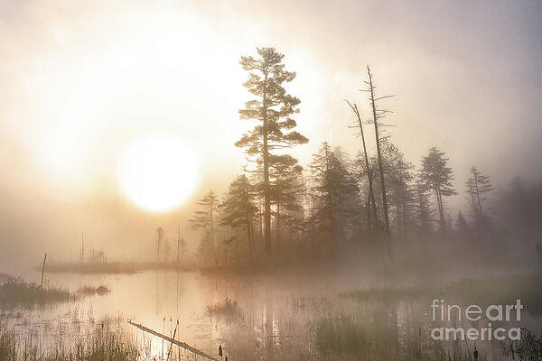 Wall Art featuring the photograph A Foggy Adirondack Morning by Rehna George