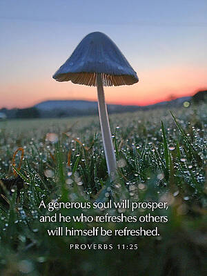 Beautiful Wall Art featuring the photograph A Generous Soul by Greg Lane