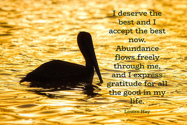 Wall Art featuring the photograph A Golden Abundance And Inspirational Quote by Tatiana Travelways