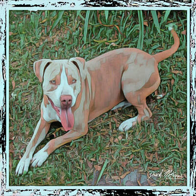 Wall Art featuring the digital art A Good Dog by David McKinney