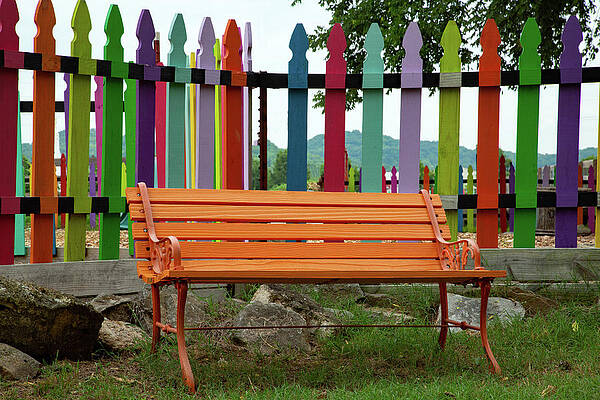 Wall Art featuring the photograph A Happy Place by Gina Fitzhugh