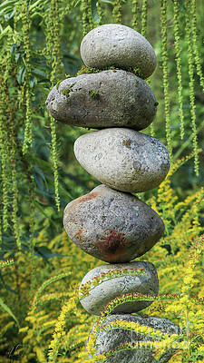 Delicate Photograph - A Harmonic Balance by D Lee