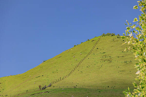 Sky Photograph - A Hill Divided by Nova Rae