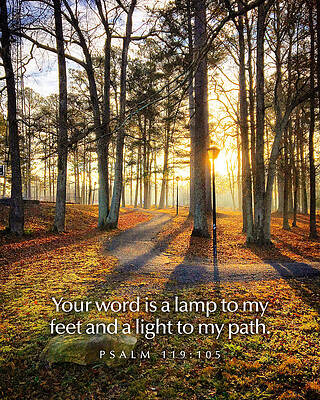 Southern Wall Art featuring the photograph A Lamp To My Feet by Greg Lane