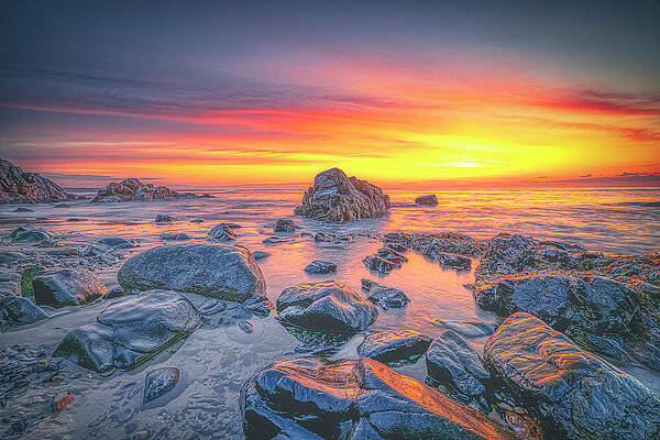 Wall Art featuring the photograph A Magical Morning by Penny Polakoff