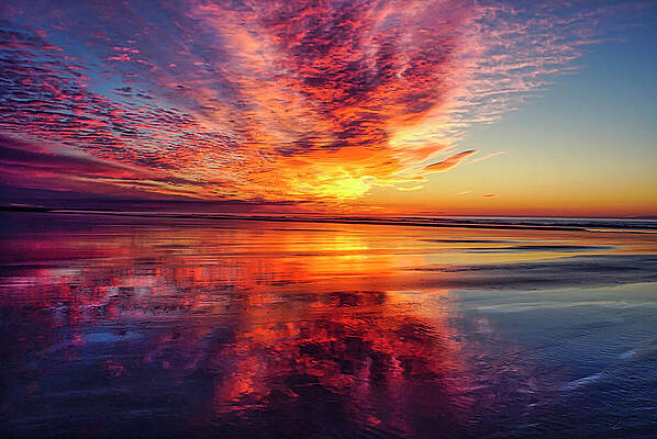 Wall Art featuring the photograph A Memorable Morning by Penny Polakoff