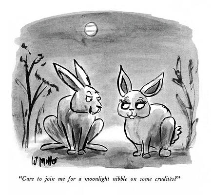Rabbits Conversing Under the Moonlight Drawing