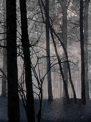 Mysterious Digital Art - A Morning Mist by Gina Harrison